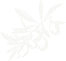 Olive-Tree-yucaipa-church-sunday-school-for-children-and-families